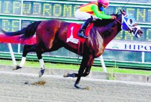 caballo