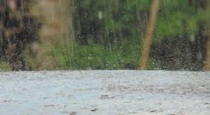 lluvias