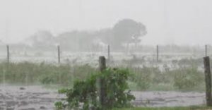 lluvias
