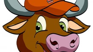 toros