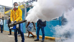 Fumigación-776x450