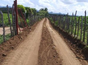 camino-696x518