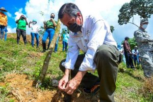 FOTO-NP-REFORESTACIÓN-MONTE-PLATA-696x466 (1)
