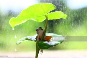 gettyimages-1149769418-2048x2048-1-768x512