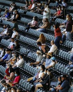 27_D_15_1p01-768x970 (1)