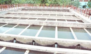 47db4b46-caasd-incrementa-produccion-de-agua-potable-para-el-gran-santo-domingo-2-6209bc31350a1-640x384
