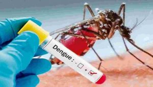 77d1b86c-1600x960_7191-dengue-622943b571130-1021x580