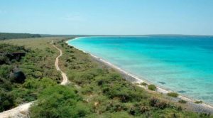 PEDERNALES