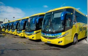 caribe-tours-21346987920200318115914-focus-0-0-895-573-bd7556d0-focus-0-0-895-573