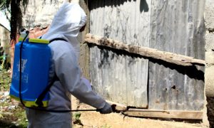 fumigacion-en-un-barrio-de-capotillo-nakahara-15-627c5460e2bb8-640x384