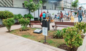 parque-628ed8ce80ff4-640x384