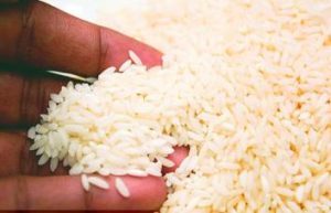 arroz-fuente-externa-bc148884-focus-min0.31-0.27-353-227