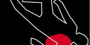 descarga (21)