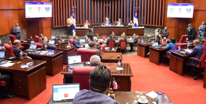 SENADO (1)