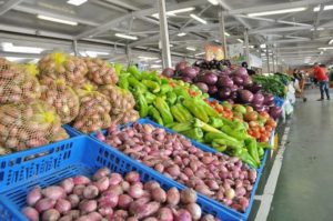 alimentos