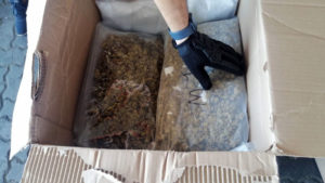 marihuana_de_brooklyn_220-1