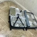 DNCD confisca pacas y un paquete de drogas en el aeropuerto Punta de Cana