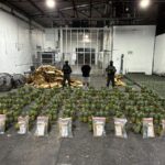 DNCD INTERVIENE CARGA DE PIÑAS CON 121 LÁMINAS DE PRESUNTA COCAÍNA; ARRESTA UN HOMBRE