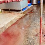 Insalubridad extrema ahoga al mercado de Los Mina